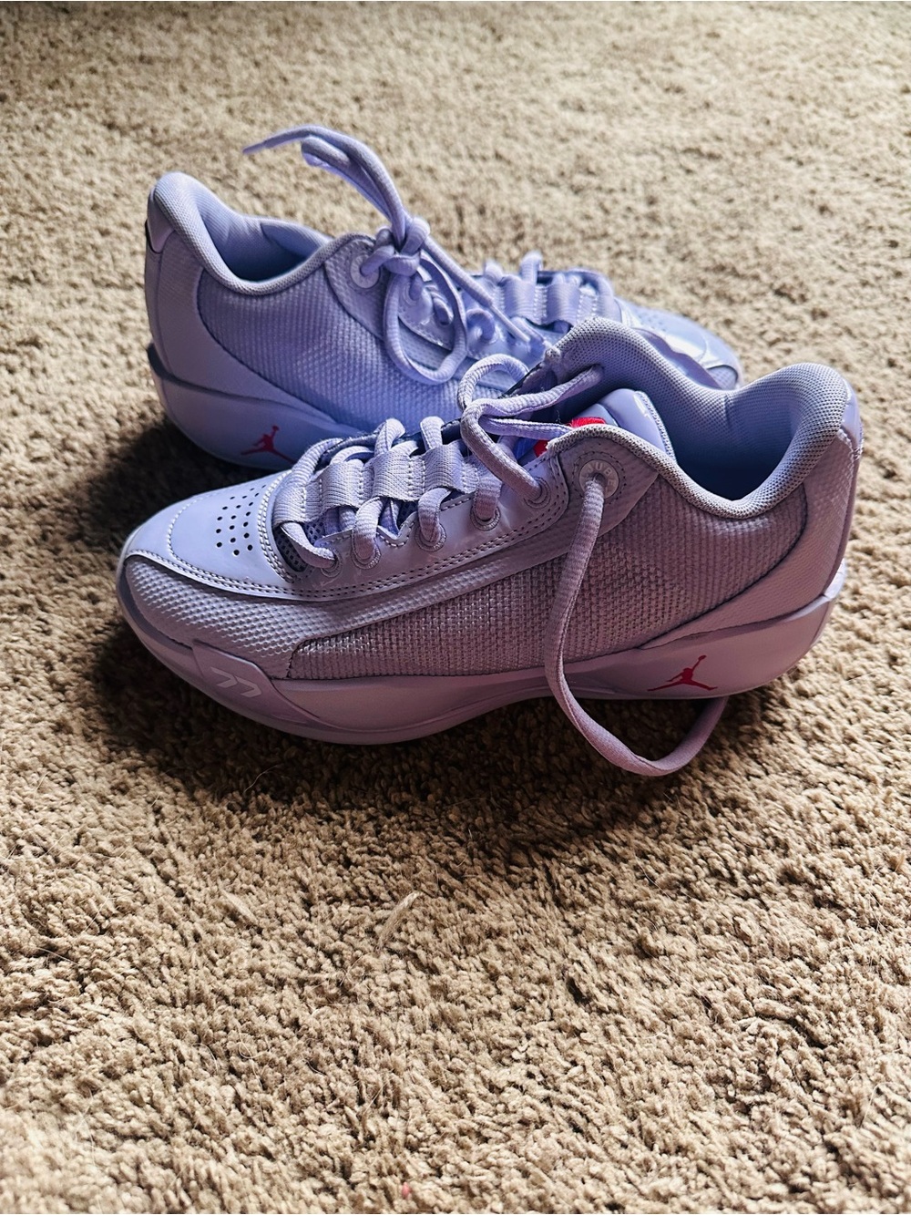 Jordan Kids Lavender Low-Top Basketball sneakers